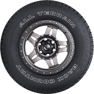 Back Country SQ-4 All Terrain Tire - Sidewall View