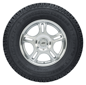 Wintercat SST Winter Tire - Sidewall View